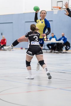 Bild 76 - F HSG Pinnau2 - Rellinger TV2 : Ergebnis: 27:20
